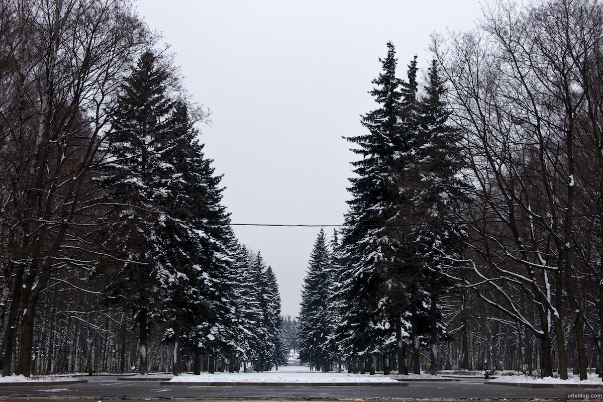 2009 МГУ Москва Moscow зима снег