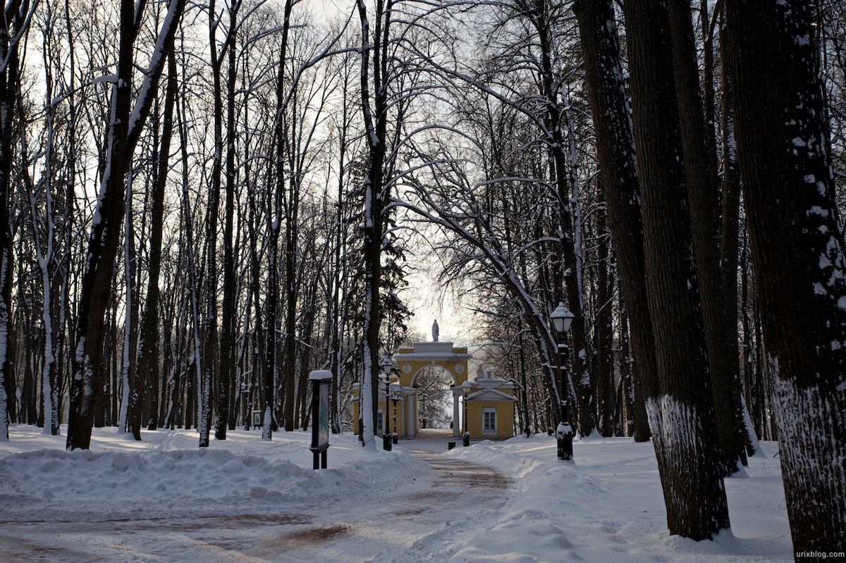 2010 парк Царицыно зима снег, Москва