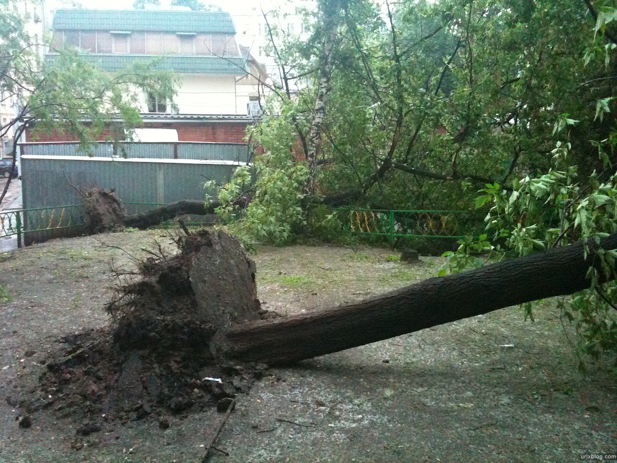 2010 Москва Moscow последствия урагана