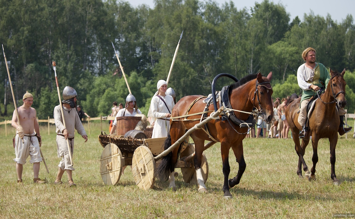 2010 лошади кони Городецкое Гульбище