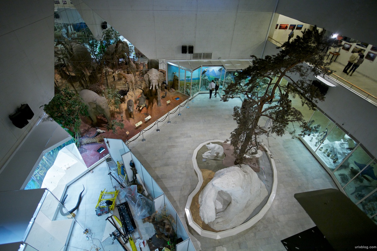 2010 Дарвиновский музей, Москва