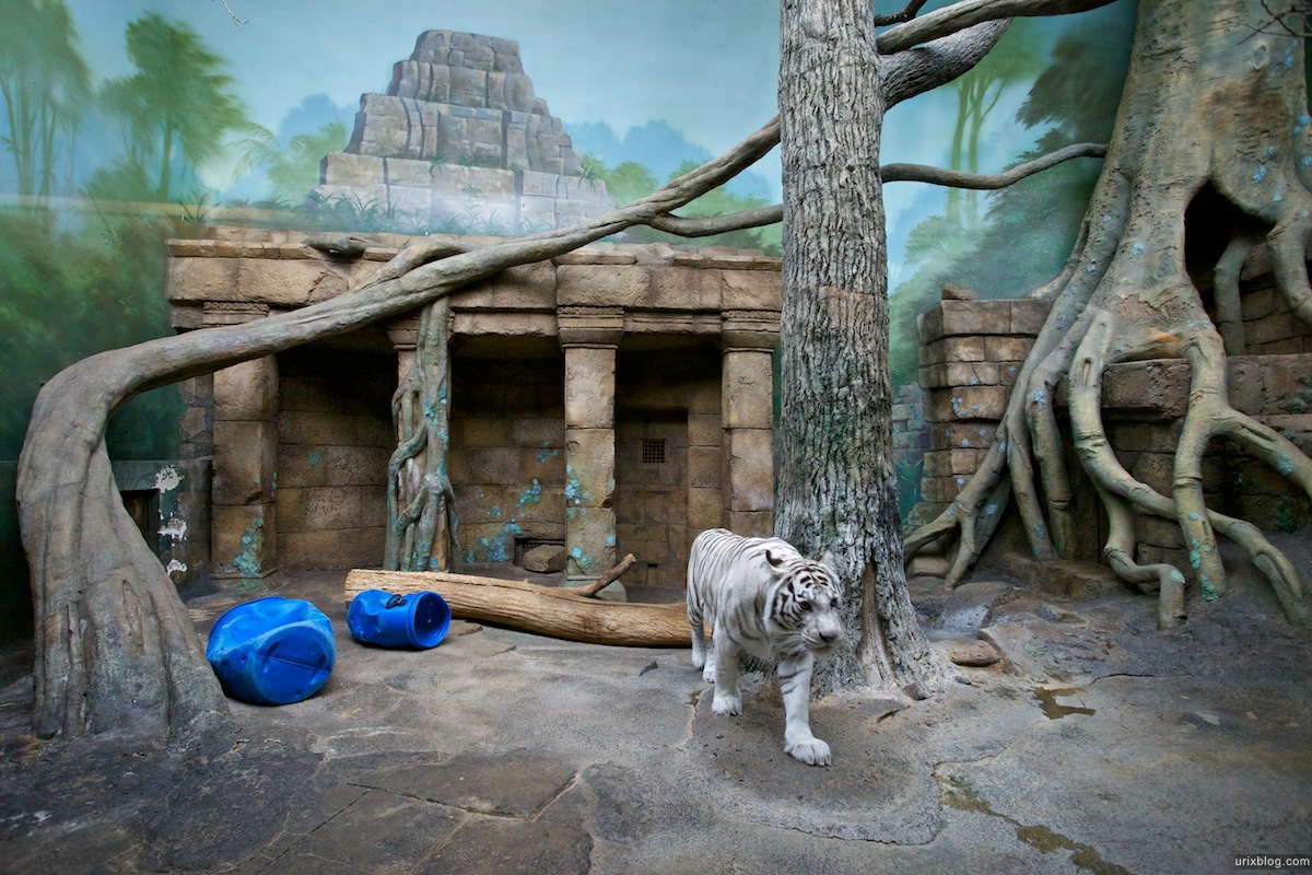 2010 Зоопарк Москва Moscow zoo