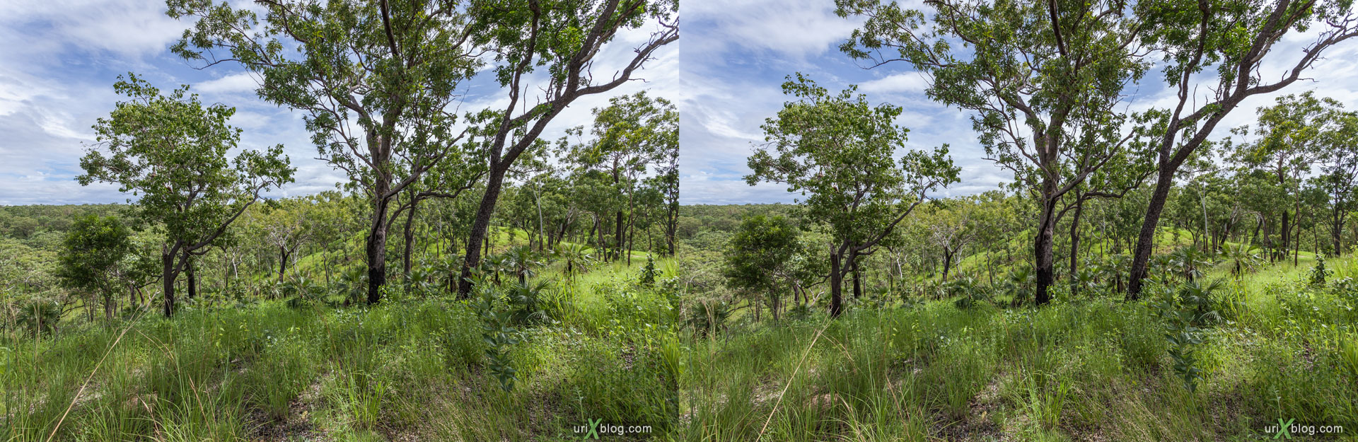 Kakadu National Park, Northern Territory, Australia, 3D, stereo pair, cross-eyed, crossview, cross view stereo pair, stereoscopic, 2011