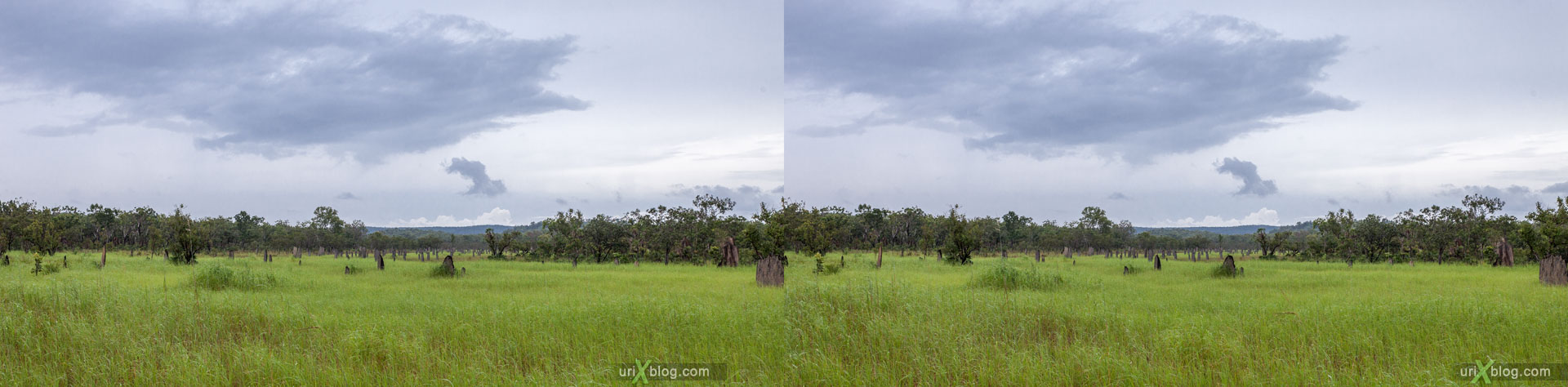термитники, Litchfield National Park, Северная территория, Австралия, 3D, перекрёстная стереопара, стерео, стереопара, 2011