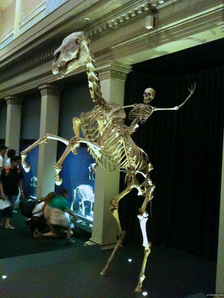 2010 2011 Sydney Australian Museum