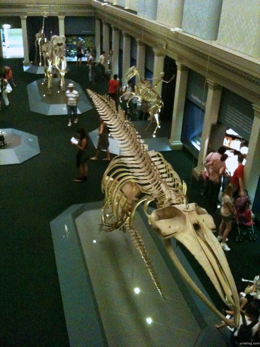 2010 2011 Sydney Australian Museum