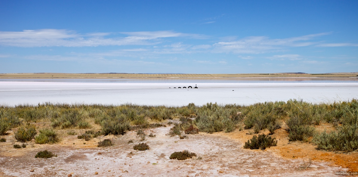 2010 озеро Bumbunga Lake, South Australia
