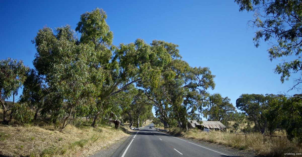 2010 South Australia