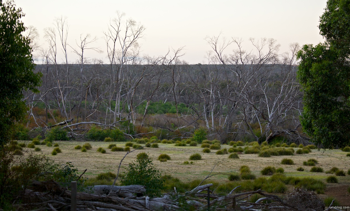 2011 2010 South Australia, Kangaroo Island, Остров Кенгуру, Южная Австралия, Flinders Chase
