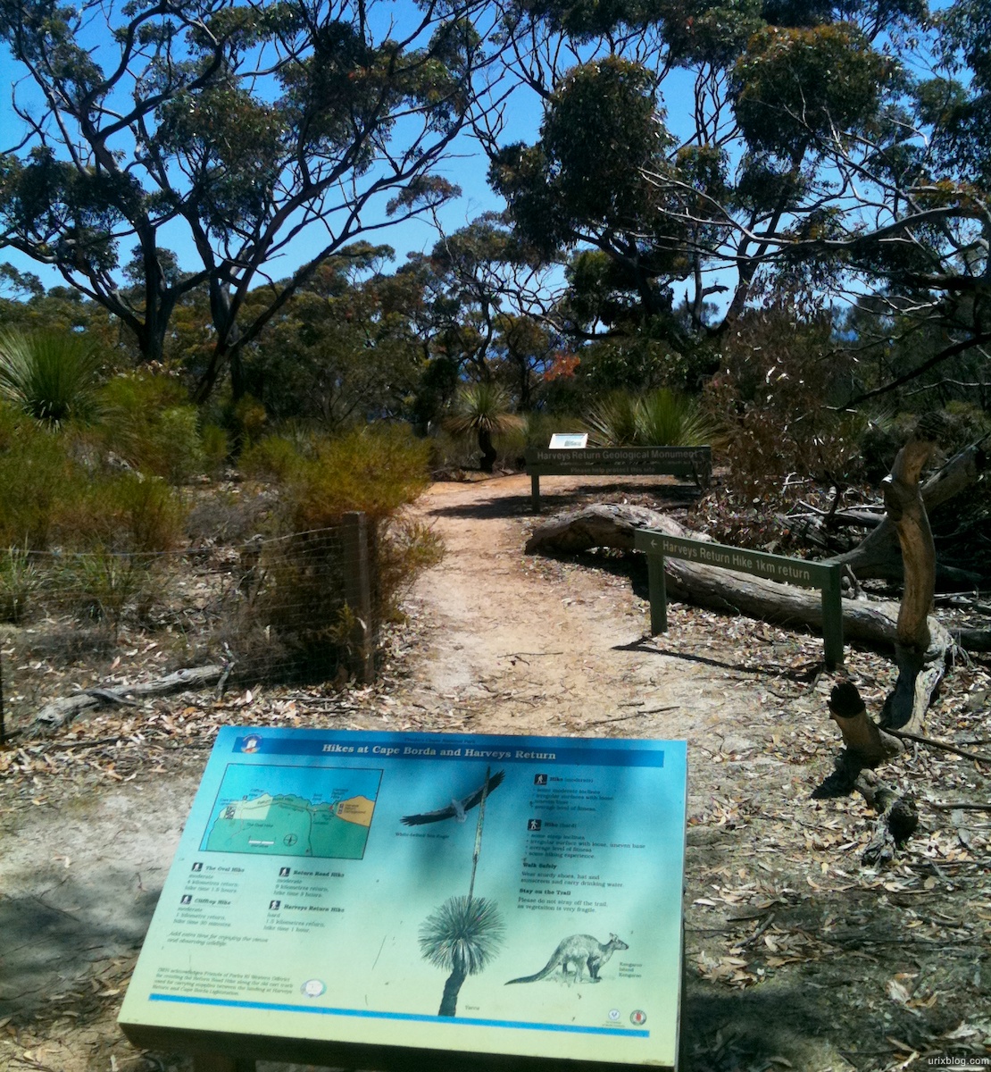 2011 South Australia, Kangaroo Island, Остров Кенгуру, Южная Австралия, Flinders Chase, Hikes at Cape Borda and Harveys return