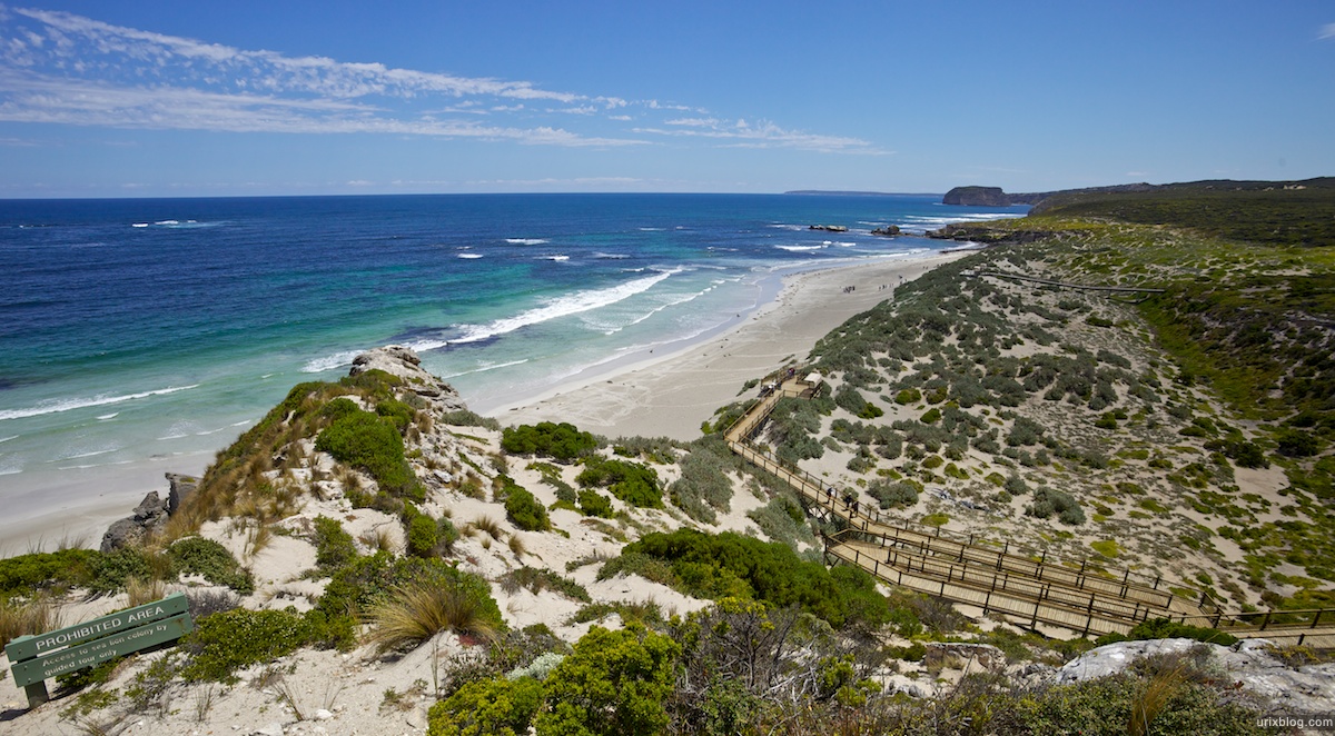 2011 South Australia, Kangaroo Island, Остров Кенгуру, Южная Австралия, Seal Bay, Australian Sea Lions
