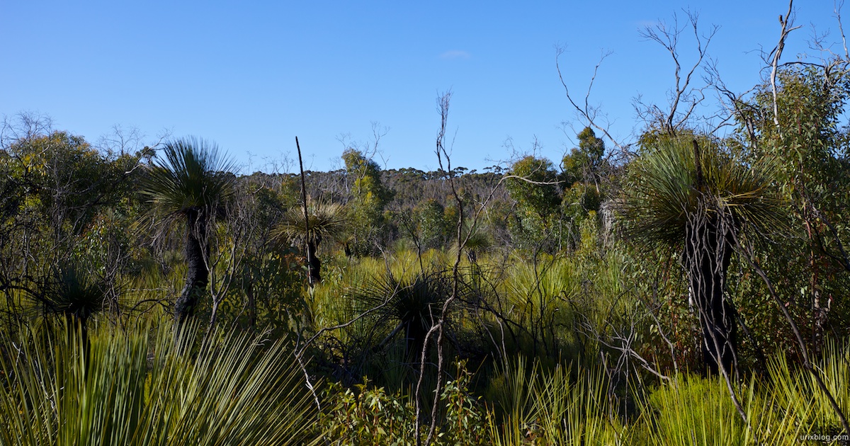 2011 South Australia, Kangaroo Island, Остров Кенгуру, Южная Австралия, Flinders Chase, Platypus Waterholes and Rocky River Hike