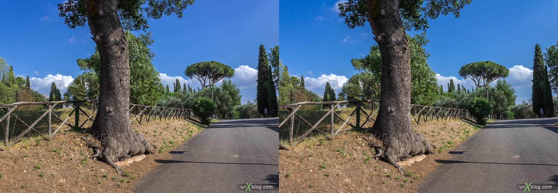 2012, Villa Adriana, Italy, Tivoli, Ancient Rome, 3D, stereo pair, cross-eyed, crossview, cross view stereo pair
