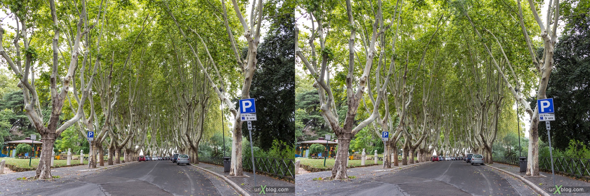 2012, Passeggiata del Gianicolo street, trees, Rome, Italy, Europe, 3D, stereo pair, cross-eyed, crossview, cross view stereo pair