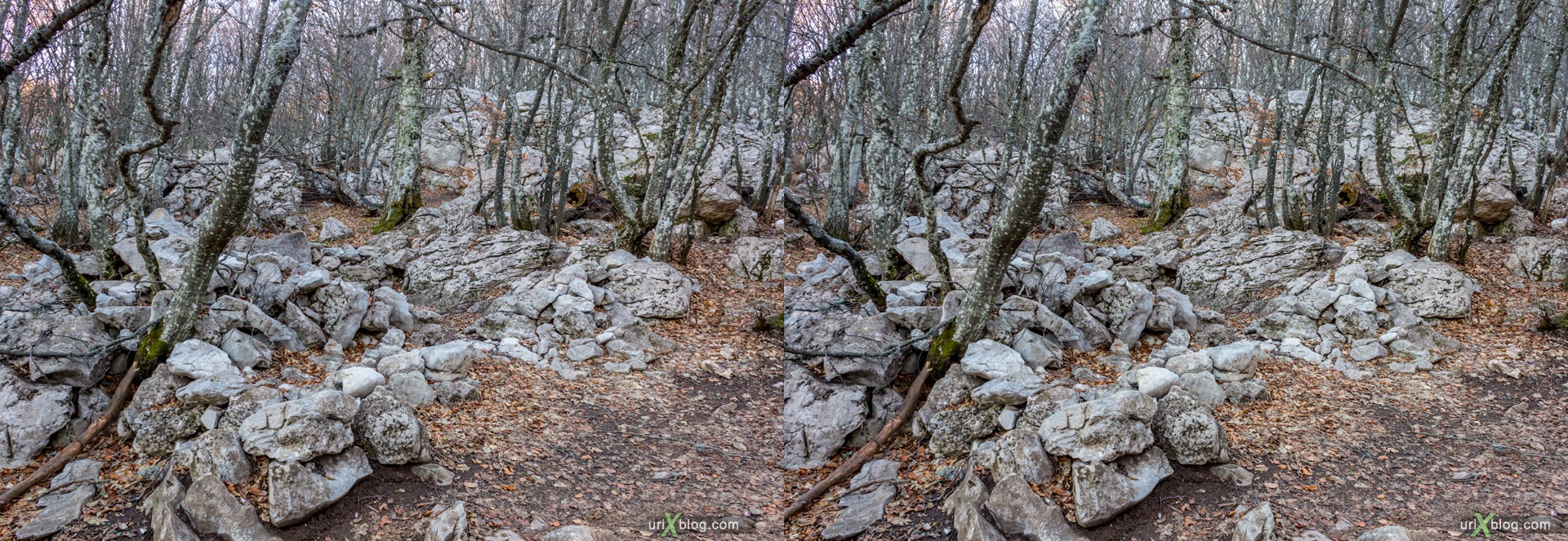 2012, Ai-Petri, mountains, Crimea, Russia, Ukraine, forest, winter, 3D, stereo pair, cross-eyed, crossview, cross view stereo pair, stereoscopic