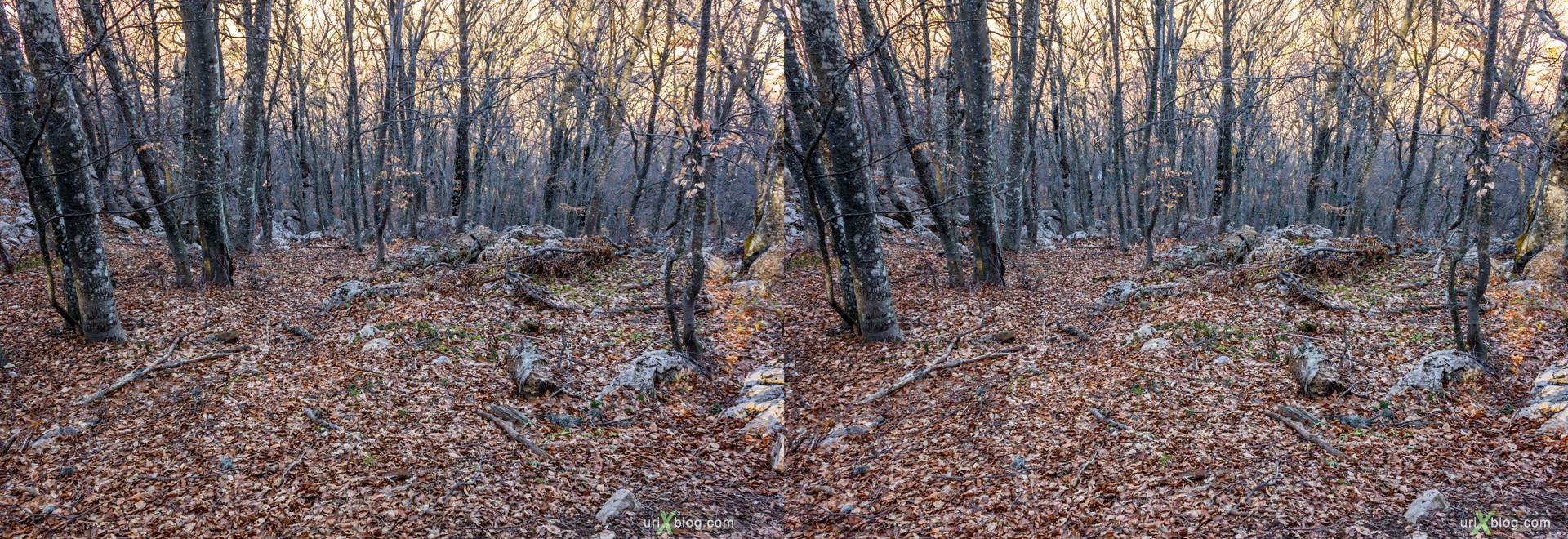 2012, Ai-Petri, mountains, Crimea, Russia, Ukraine, forest, winter, 3D, stereo pair, cross-eyed, crossview, cross view stereo pair, stereoscopic