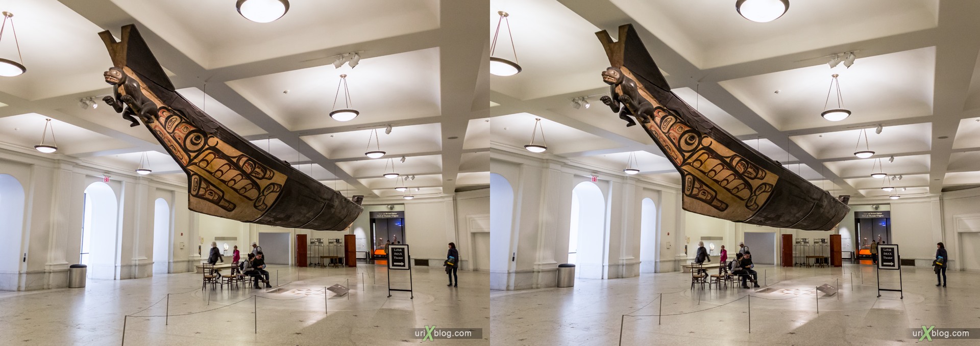 2013, Американский Музей Естественной Истории, Нью-Йорк, США, Скелет, Донозавр, животное, чучело, 3D, перекрёстные стереопары, стерео, стереопара, стереопары