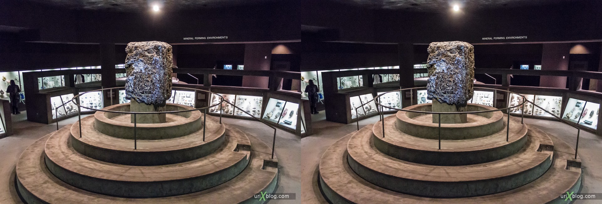 2013, Американский Музей Естественной Истории, Нью-Йорк, США, Скелет, Донозавр, животное, чучело, 3D, перекрёстные стереопары, стерео, стереопара, стереопары