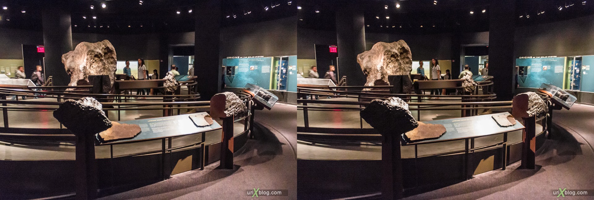 2013, American Museum of Natural History, NYC, New York City, USA, animal, dinosaur, skeleton, 3D, stereo pair, cross-eyed, crossview, cross view stereo pair, stereoscopic