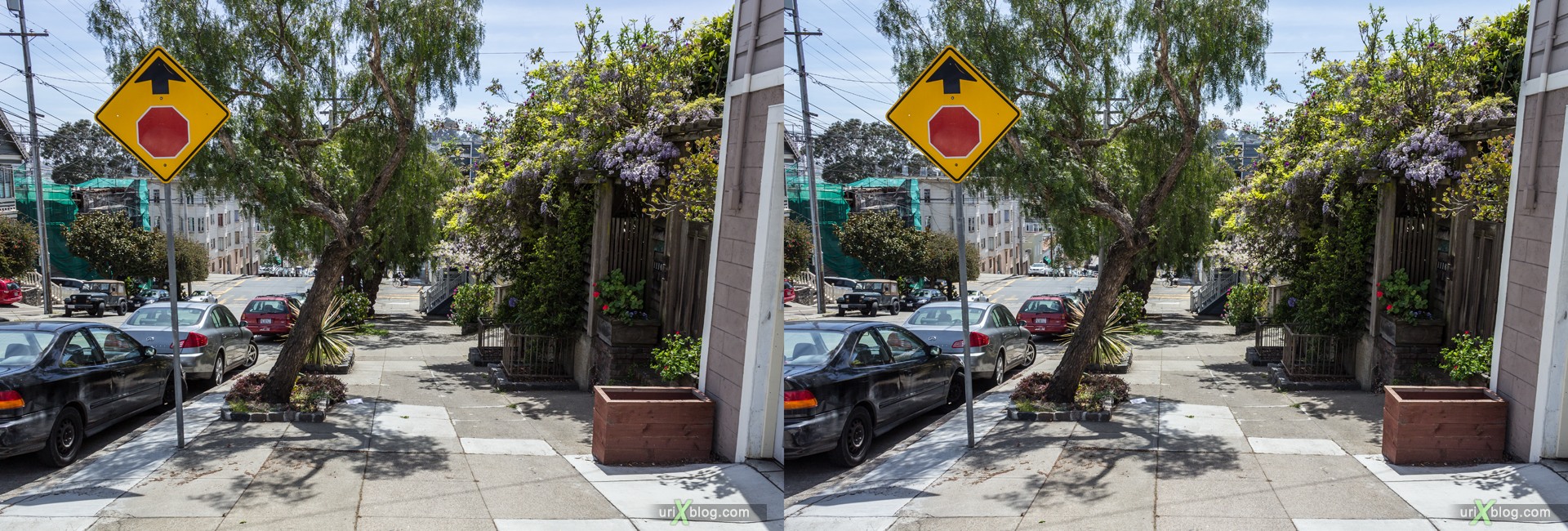 2013, Castro, Dolores Heights, Сан-Франциско, США, 3D, перекрёстные стереопары, стерео, стереопара, стереопары