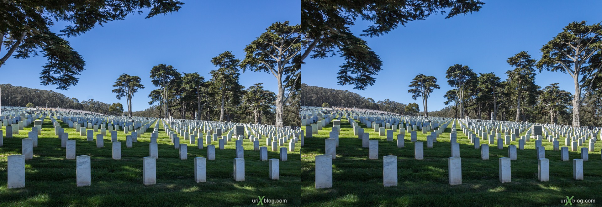 2013, USA, California, San Francisco National Cemetery, 3D, stereo pair, cross-eyed, crossview, cross view stereo pair, stereoscopic