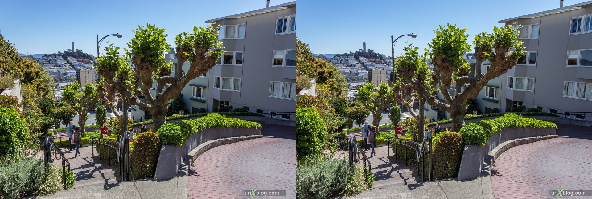 2013, USA, California, San Francisco, Russian hill, Lombard street, 3D, stereo pair, cross-eyed, crossview, cross view stereo pair, stereoscopic