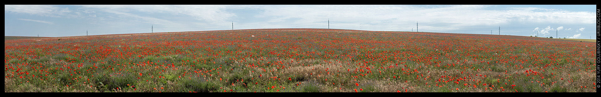 Crimea, Crimean penonsula, panorama, poppy, poppies, field, Simferopol, Russia, 2014, former Ukraine territory