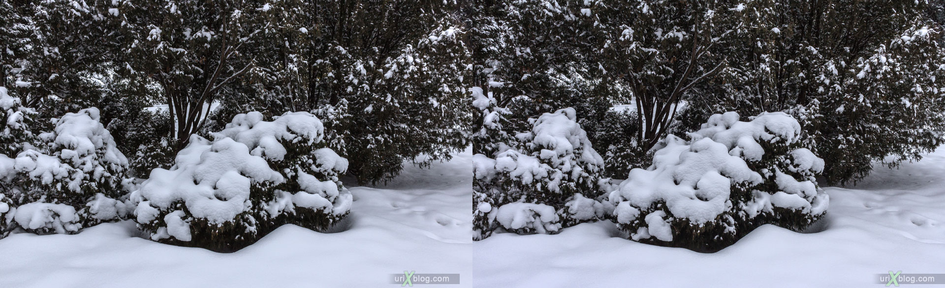 VDNKh, VVTs, park, winter, ice, snow, Moscow, Russia, 3D, stereo pair, cross-eyed, crossview, cross view stereo pair, stereoscopic, 2015