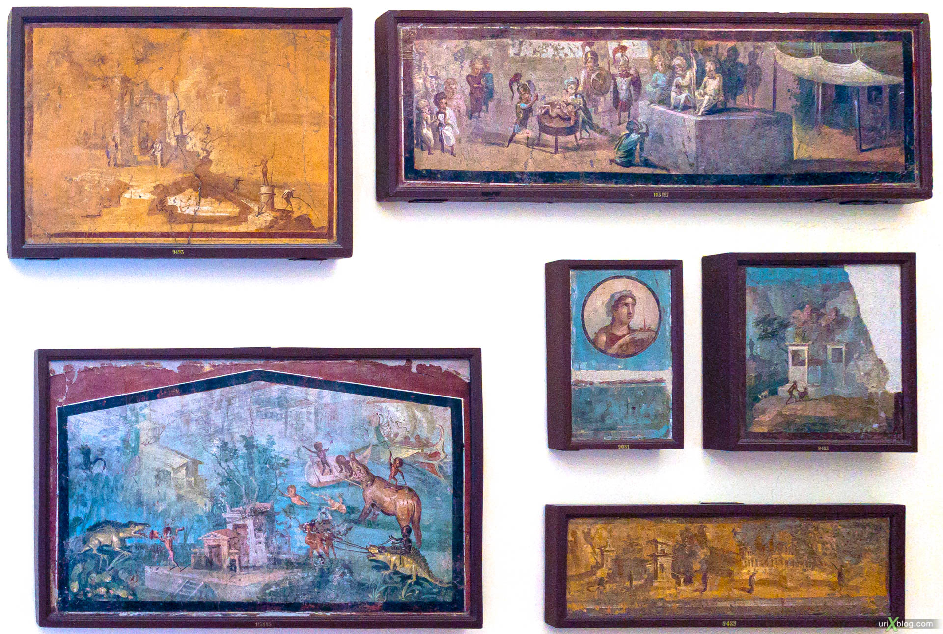 фрески, мозаика, Национальный археологический музей Неаполя, Древний Рим, Помпеи, выставка, Неаполь, Италия
