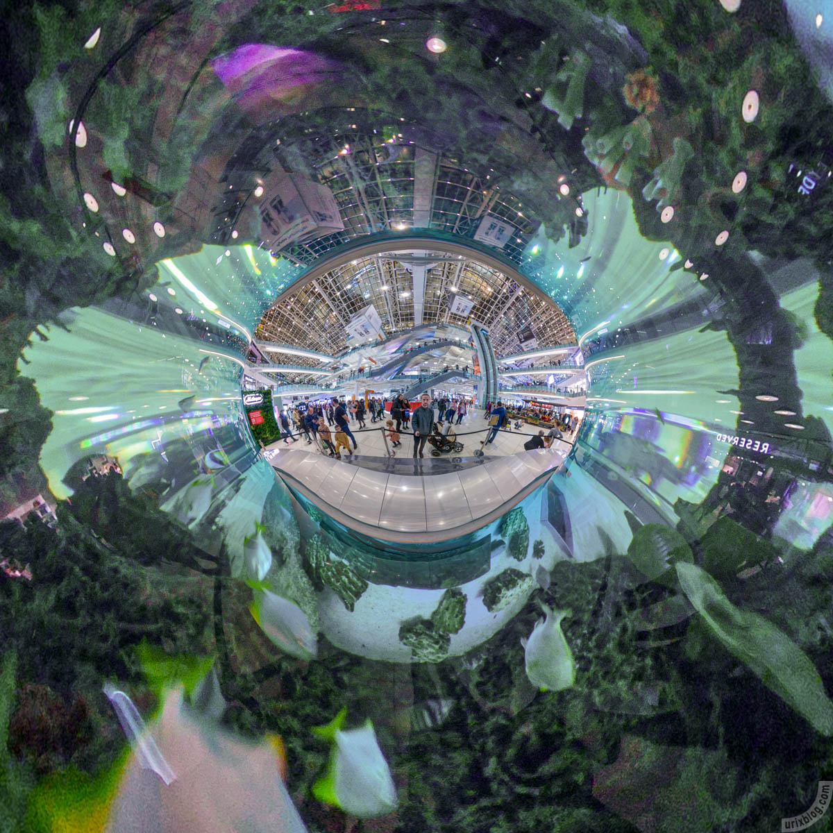 Аквариум, Авиапарк, Москва, Россия, фишай, панорама, Insta360 One X, 2019