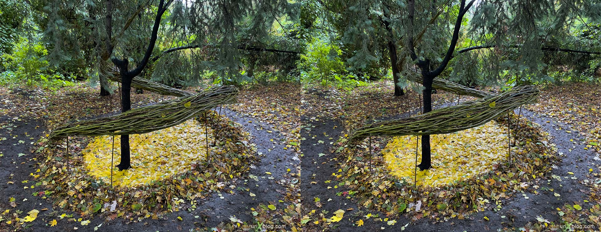 Pharmaceutical Garden, Russia, Moscow, 3D, stereo pair, cross-eyed, crossview, cross view stereo pair, stereoscopic