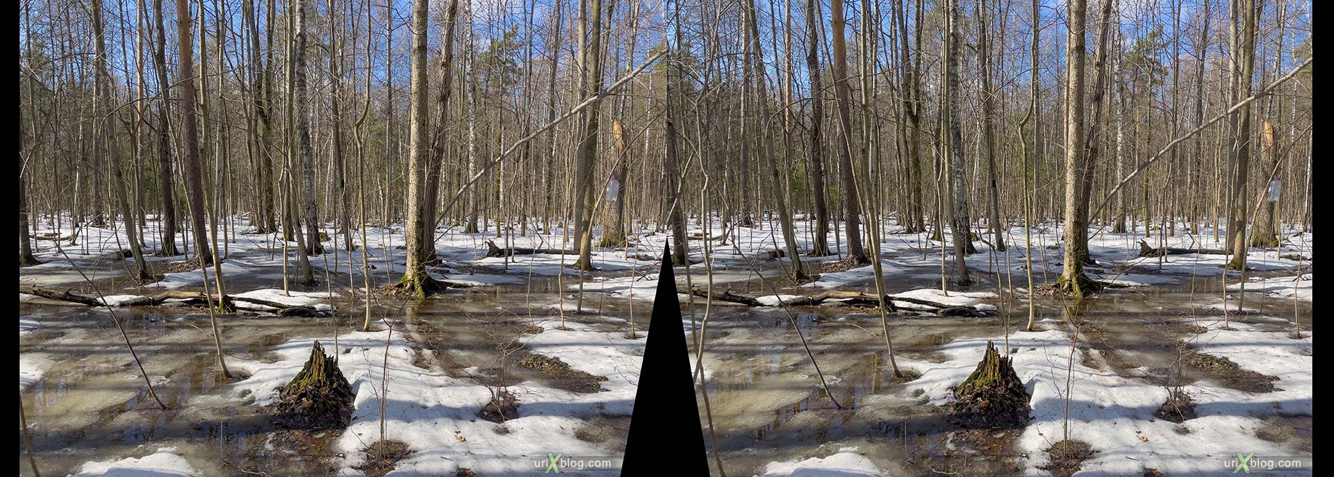Timiryazevsky forest, park, forest, trees, snow, puddles, spring, winter, april, Moscow, Russia, 3D, stereo pair, cross-eyed, crossview, cross view stereo pair, stereoscopic