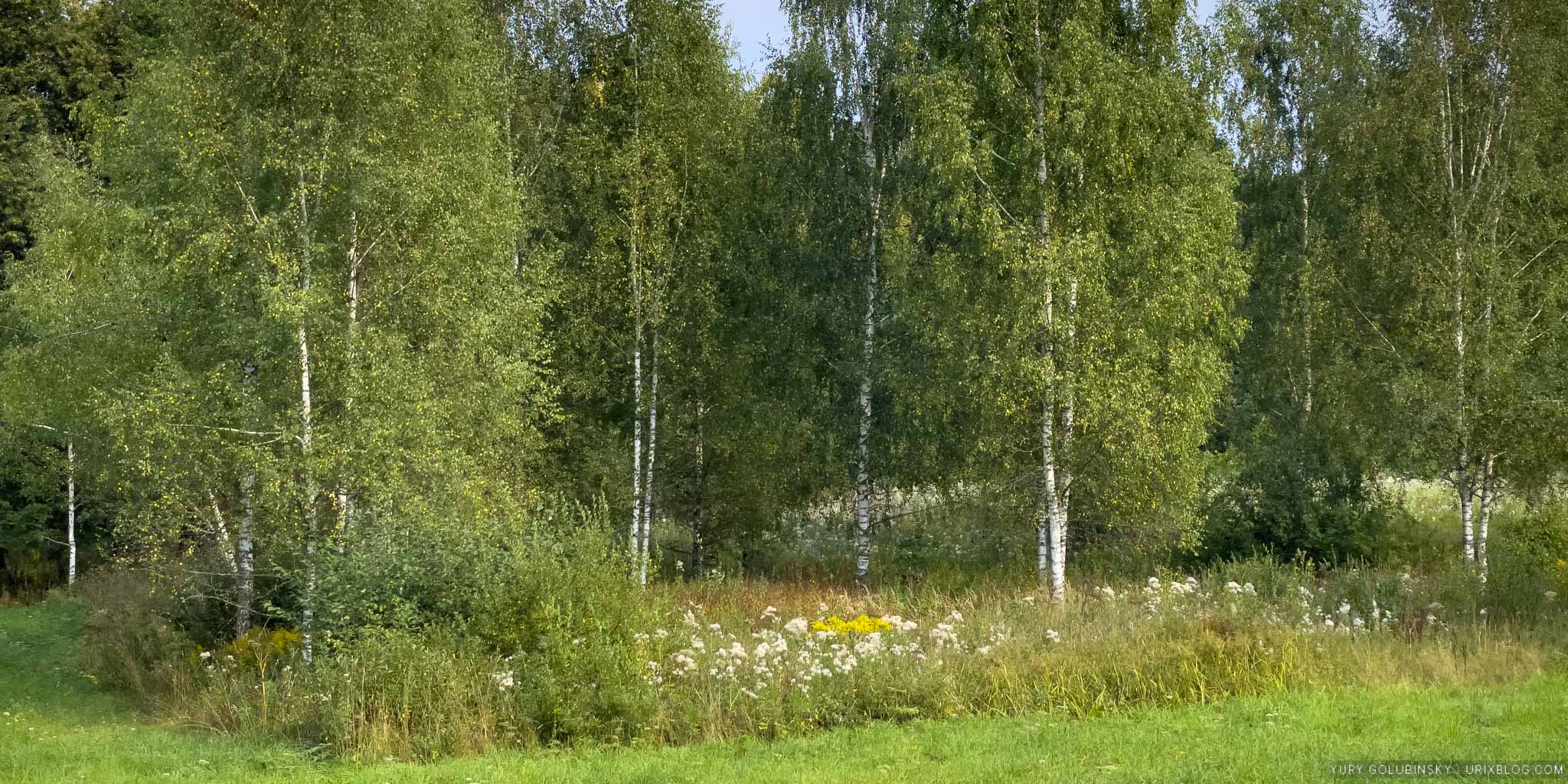Абрамцево, парк, усадьба, панорама, Московская область, лето, август, Россия